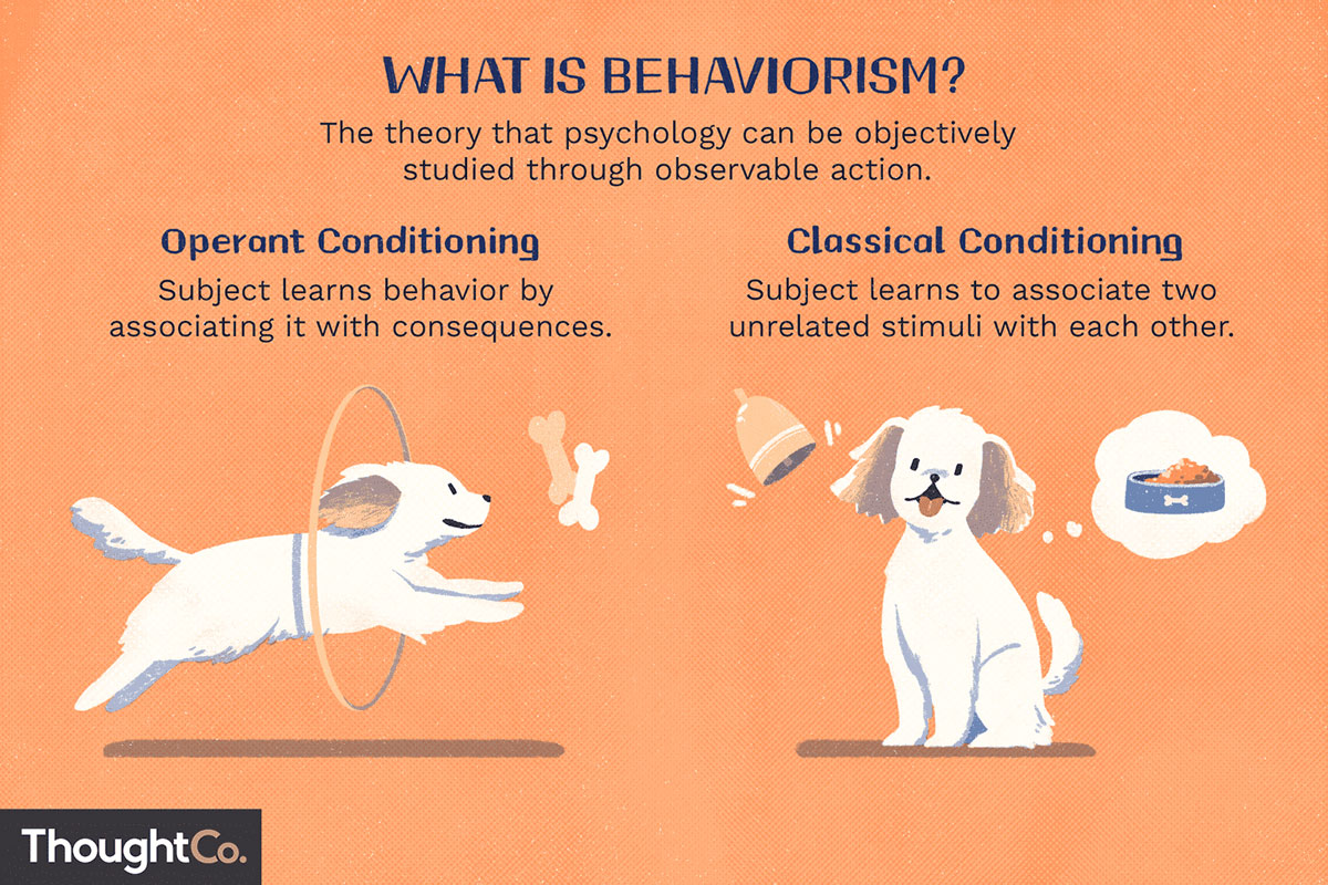 What is behaviorism?